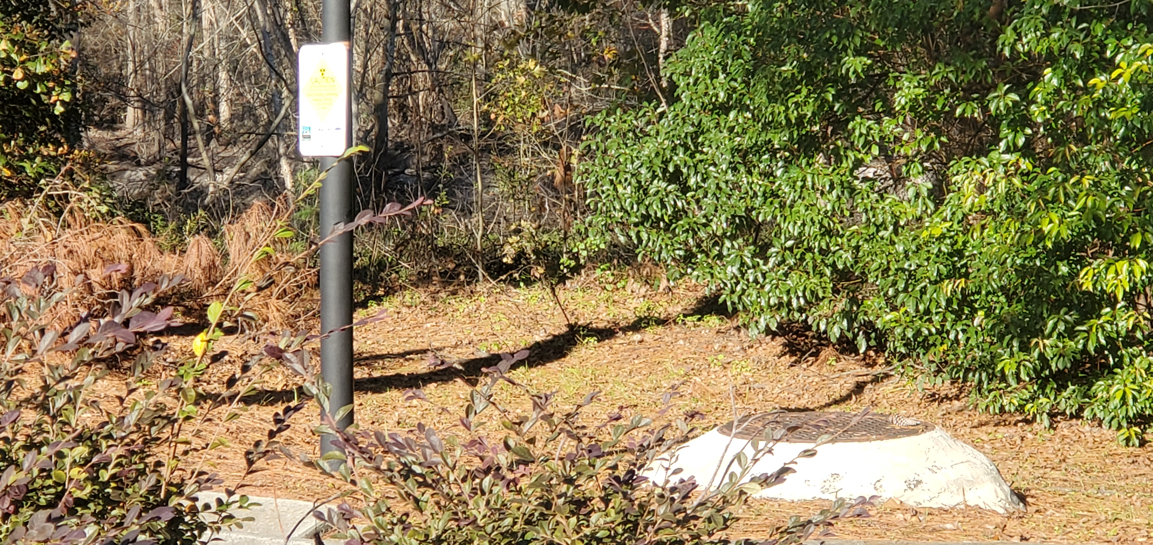 WWALS warning sign in front of Berta's Kitchen, 2025:01:07 15:43:17, 30.8617261, -83.3188234