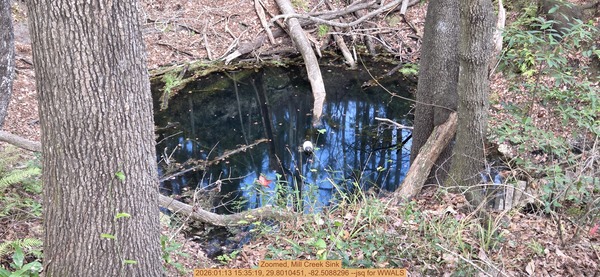 [Zoomed, Mill Creek Sink, 2026:01:13 15:35:19, 29.8010451, -82.5088296 --jsq for WWALS]