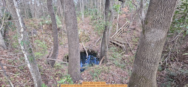 Stairs, Mill Creek Sink, 2026:01:13 15:35:50, 29.8010448, -82.5088364 --jsq for WWALS