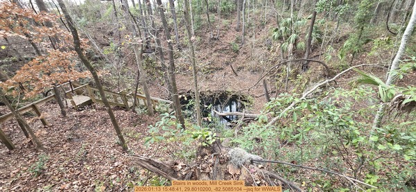 [Stairs in woods, Mill Creek Sink, 2026:01:13 15:48:41, 29.8010200, -82.5085104 --jsq for WWALS]