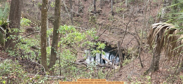 Stair bottom, Mill Creek Sink, 2026:01:13 15:49:30, 29.8010200, -82.5085104 --jsq for WWALS