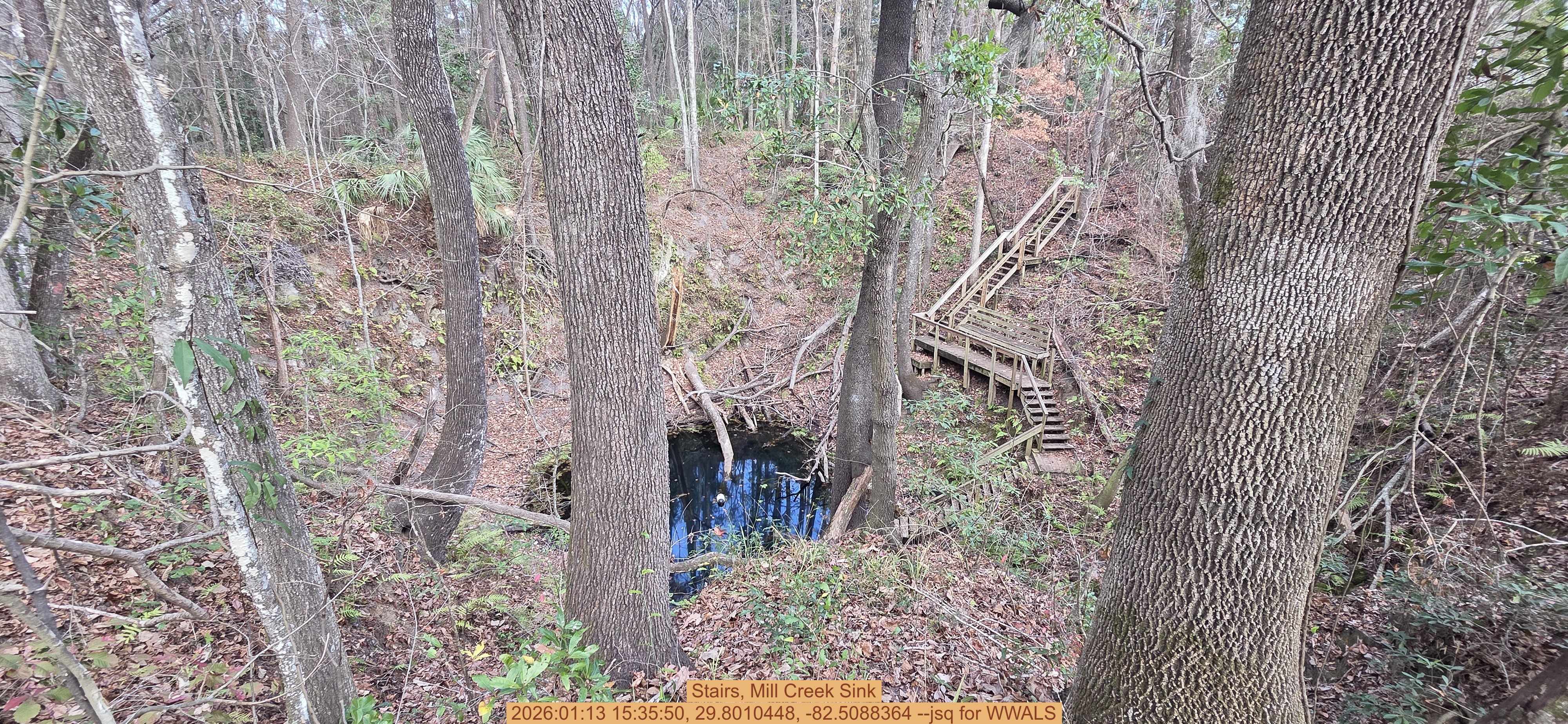 Stairs, Mill Creek Sink, 2026:01:13 15:35:50, 29.8010448, -82.5088364 --jsq for WWALS