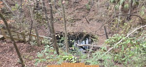 [Steep stairs, Mill Creek Sink, 2026:01:13 15:48:39, 29.8010200, -82.5085104 --jsq for WWALS]