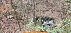 [Down, Mill Creek Sink, 2026:01:13 15:48:54, 29.8010200, -82.5085104 --jsq for WWALS]