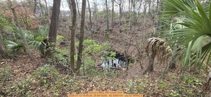 [Sonny's BBQ, Mill Creek Sink, 2026:01:13 15:49:28, 29.8010200, -82.5085104 --jsq for WWALS]