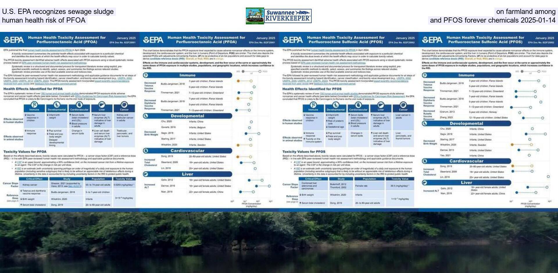 [U.S. EPA recognizes sewage sludge on farmland among human health risk of PFOA and PFOS forever chemicals 2025-01-14]