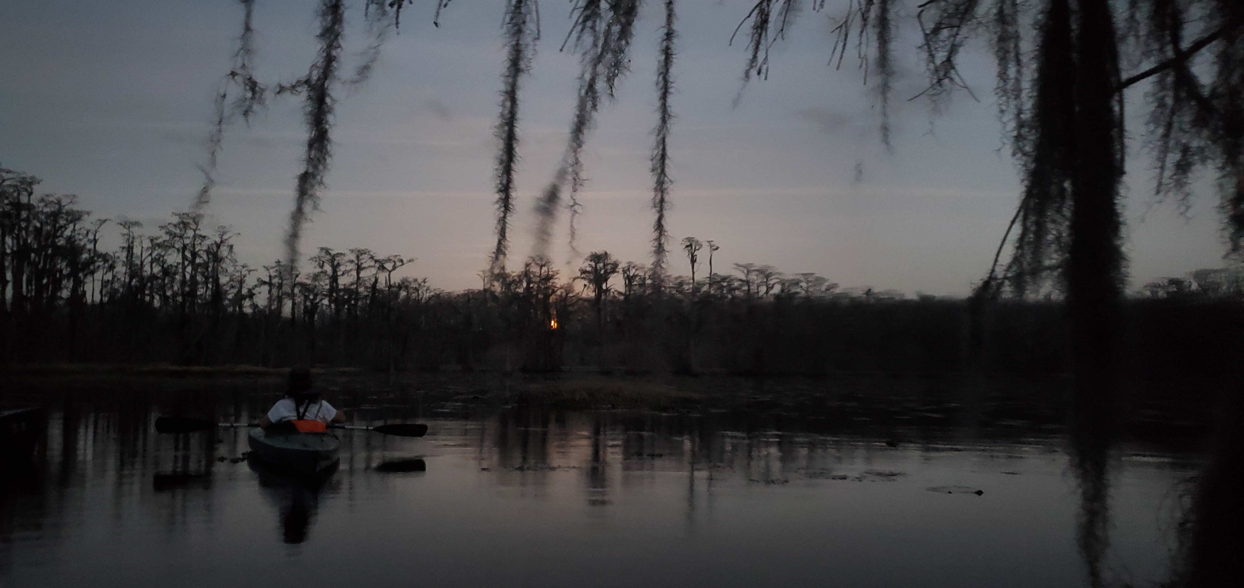 Moonrise Spanish moss, 18:48:47, 31.0281138, -83.0927479