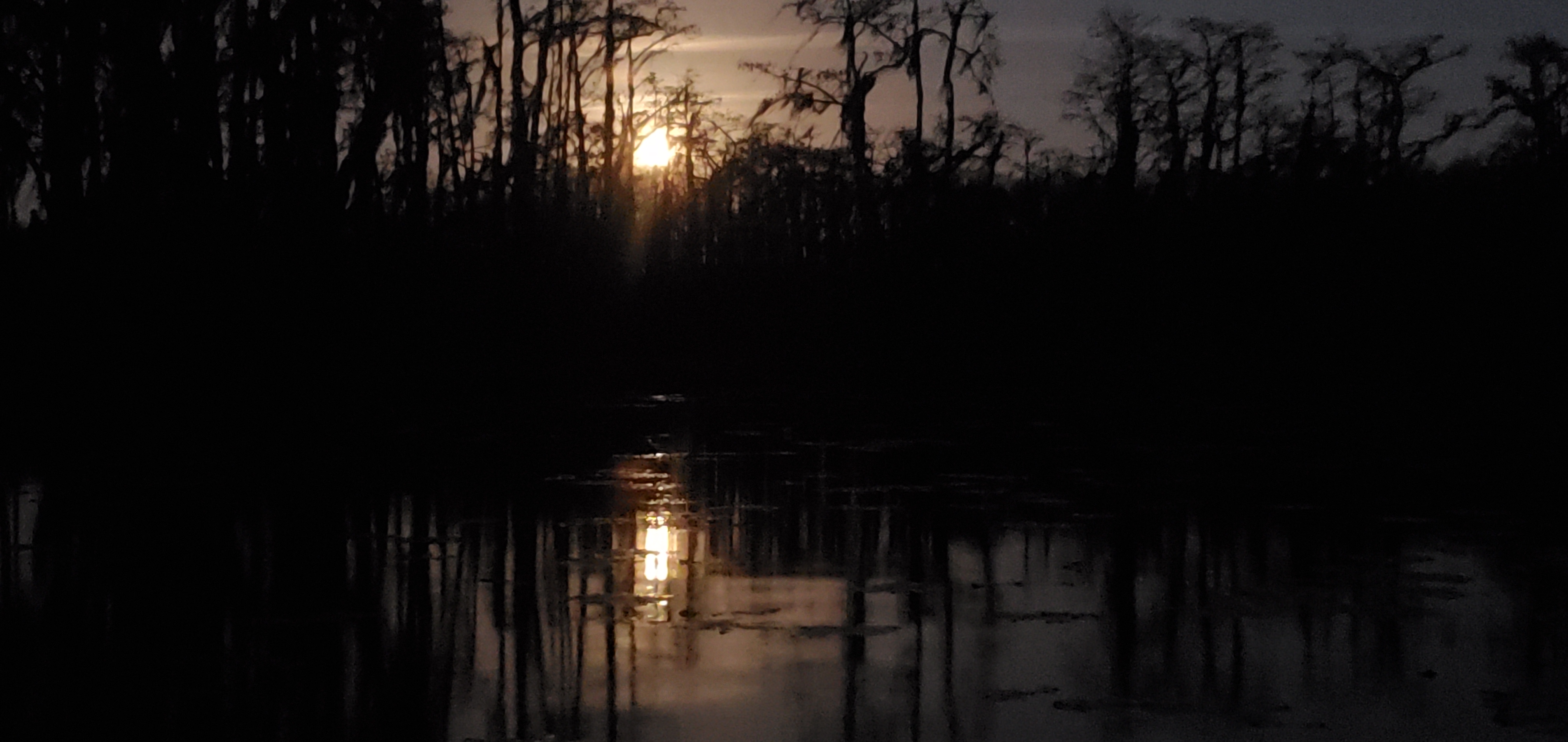 Glassy moonbeam, 19:01:55, 31.0284328, -83.0928314