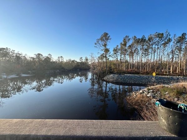 Downstream, Lakeland Boat Ramp, Alapaha River @ GA 122 2025-02-27