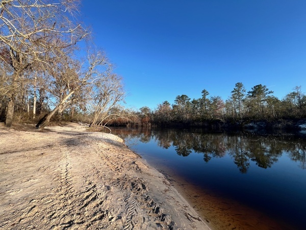 Downstream, Naylor Park Beach, Alapaha River @ US 84 2025-02-27