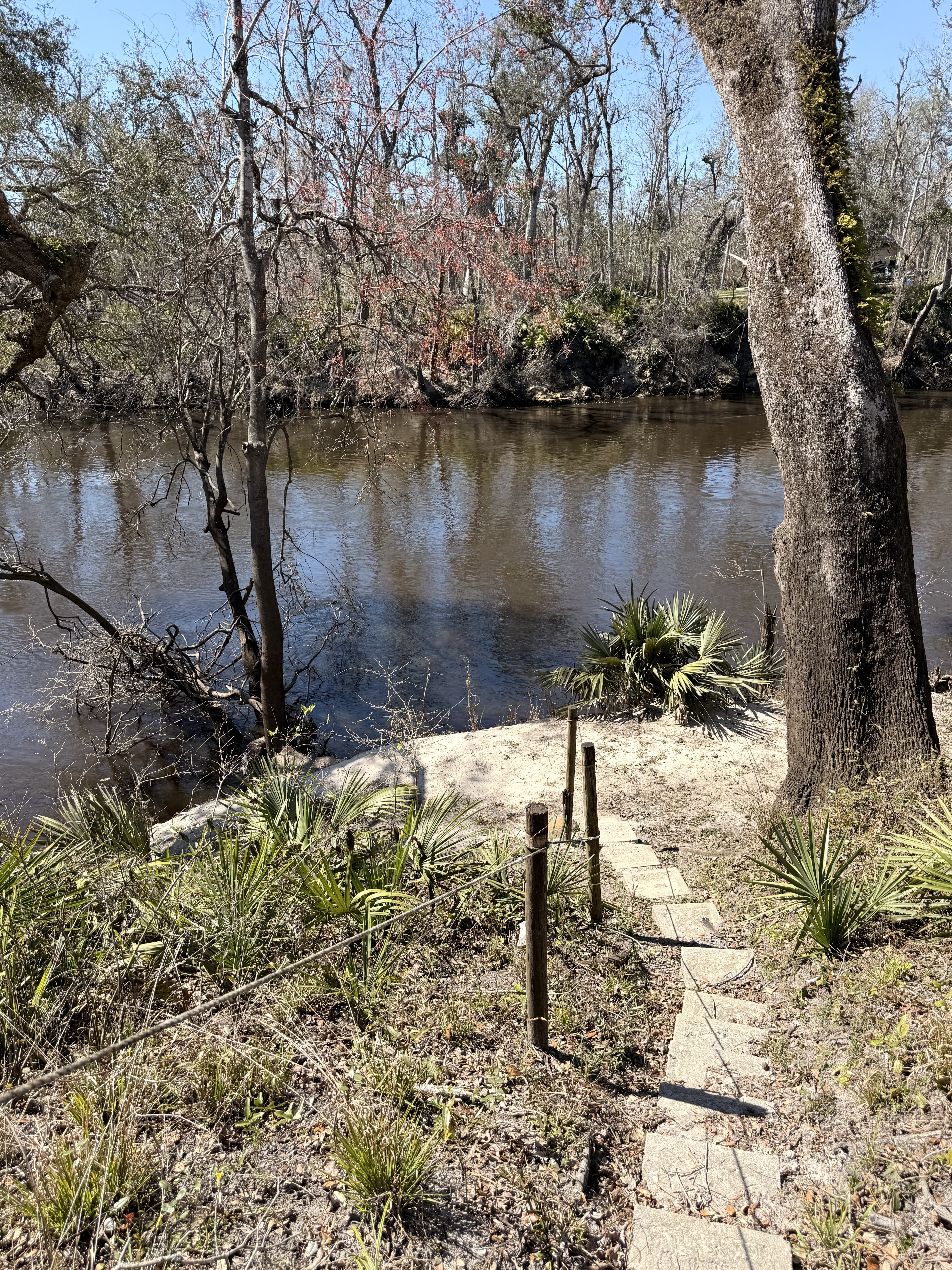 Holly Point other, Withlacoochee River @ NE Withla Bluffs Way 2025-02-27