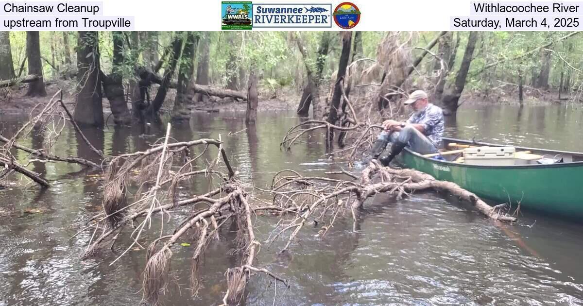 Chainsaw Cleanup, Withlacoochee River, upstream from Troupville, Saturday, March 4, 2025