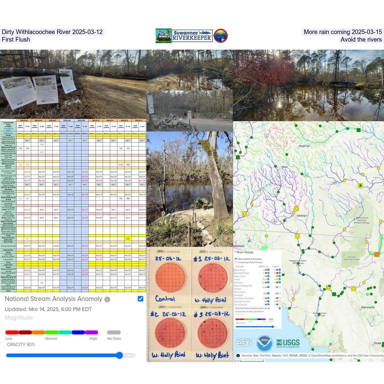 Dirty Withlacoochee River 2025-03-12, More rain coming 2025-03-15, First Flush, Avoid the rivers