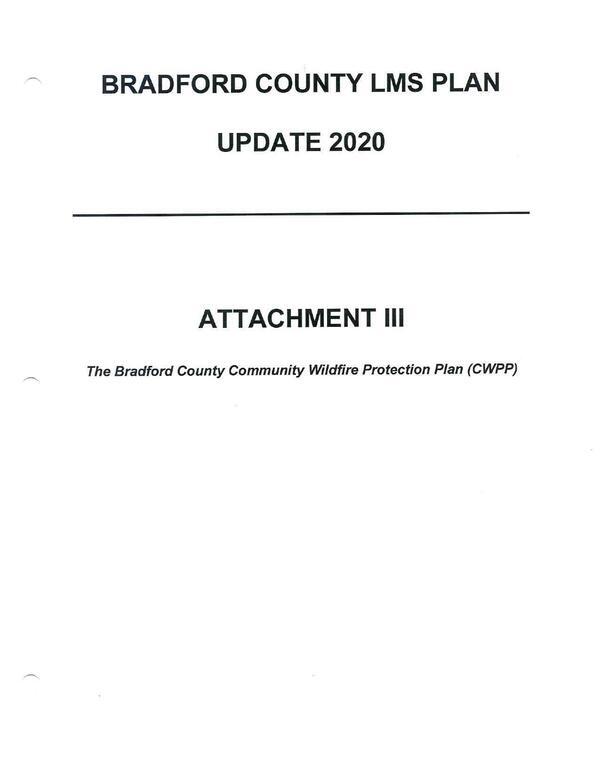 [BRADFORD COUNTY LMS PLAN]