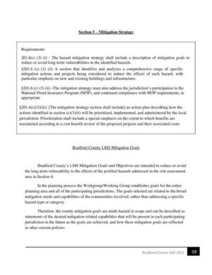 [Section 5 — Mitigation Strategy]