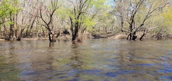 [Langdale Cates Circle Private Boat Ramp, 2025:03:22 11:39:07, 30.8283561, -83.4161530]