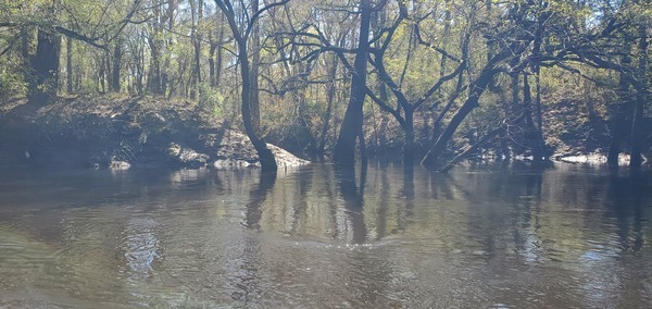 [Approaching McCree Tract Creek, 2025:03:22 11:47:31, 30.8217038, -83.4210910]