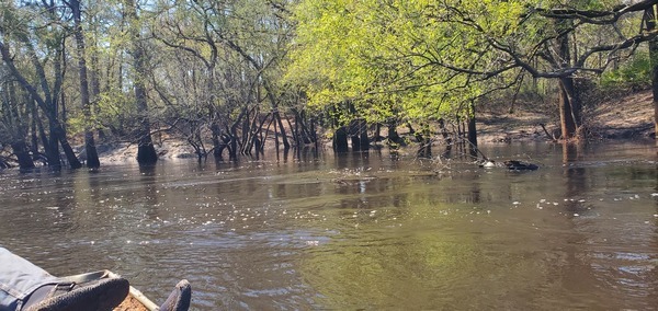 [Morningstar Church Creek, 2025:03:22 12:21:12, 30.8104303, -83.4508495]