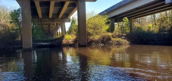 [Under US 84 Bridge left bank, 2025:03:22 12:33:09, 30.7937749, -83.4532368]