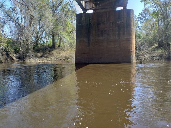 [CSX Railroad Pier, left (east) bank --Phil Royce, 2025:03:22 12:33:46]