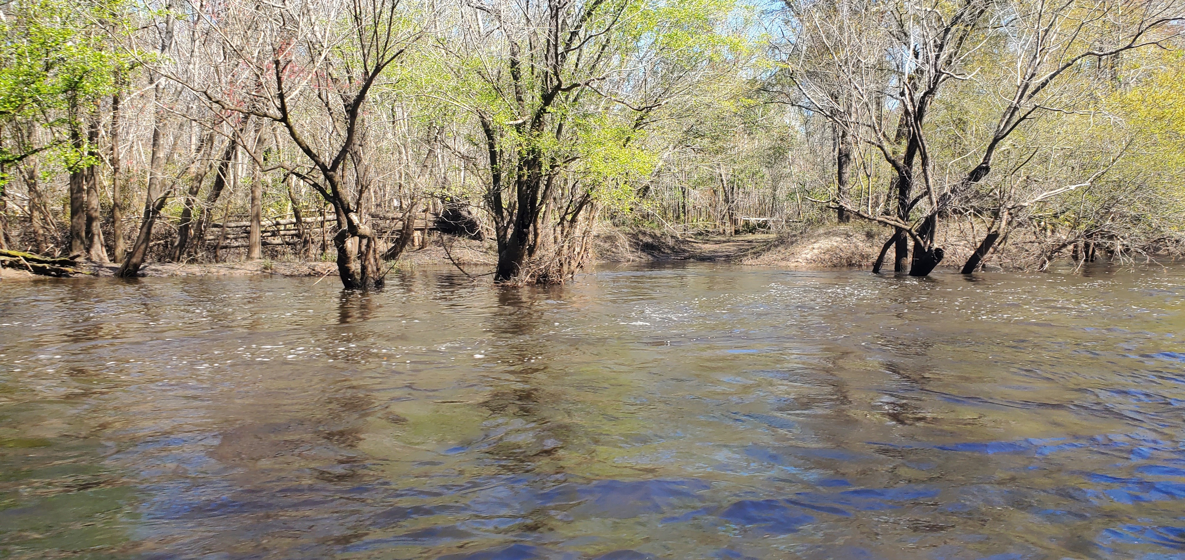 Langdale Cates Circle Private Boat Ramp, 2025:03:22 11:39:07, 30.8283561, -83.4161530