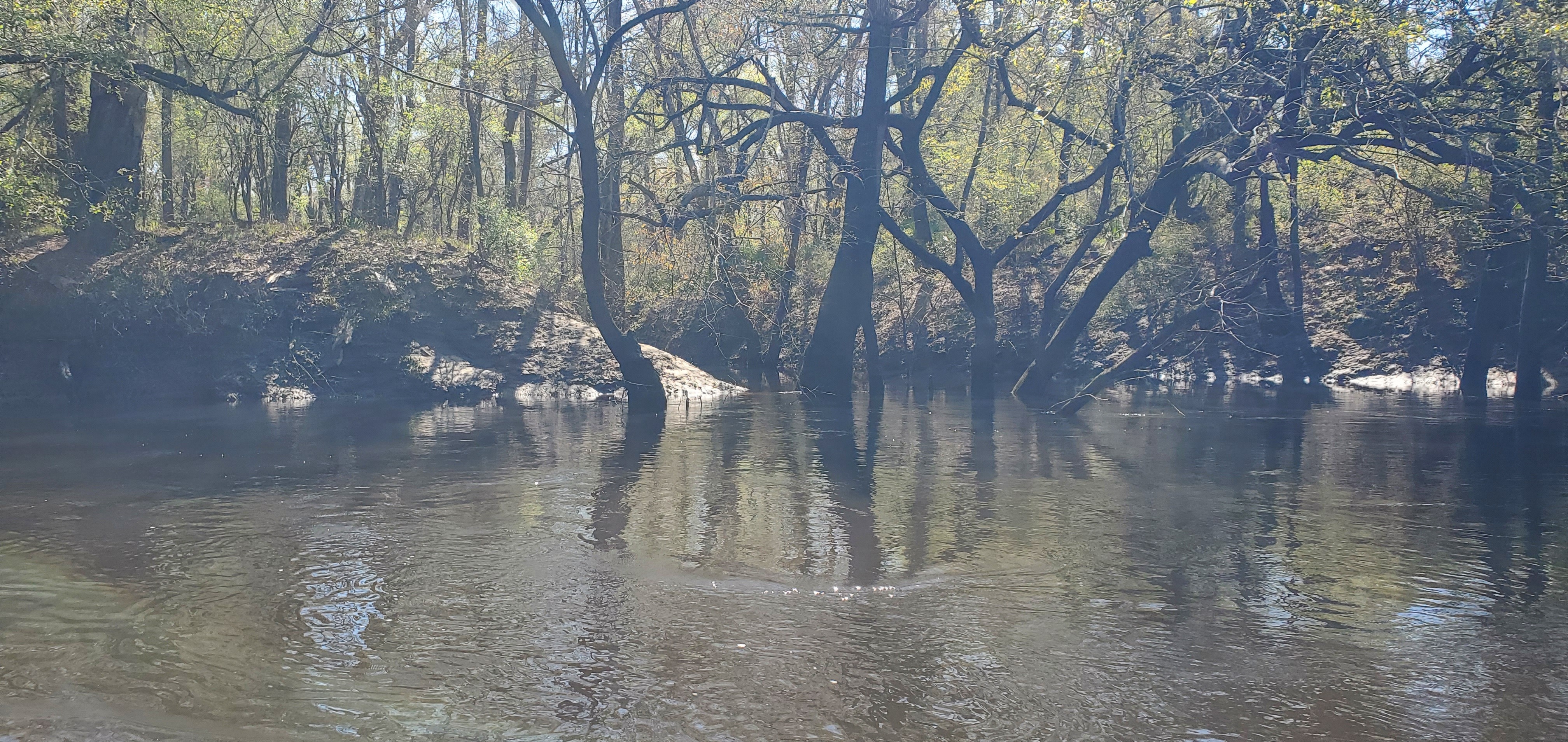 Approaching McCree Tract Creek, 2025:03:22 11:47:31, 30.8217038, -83.4210910