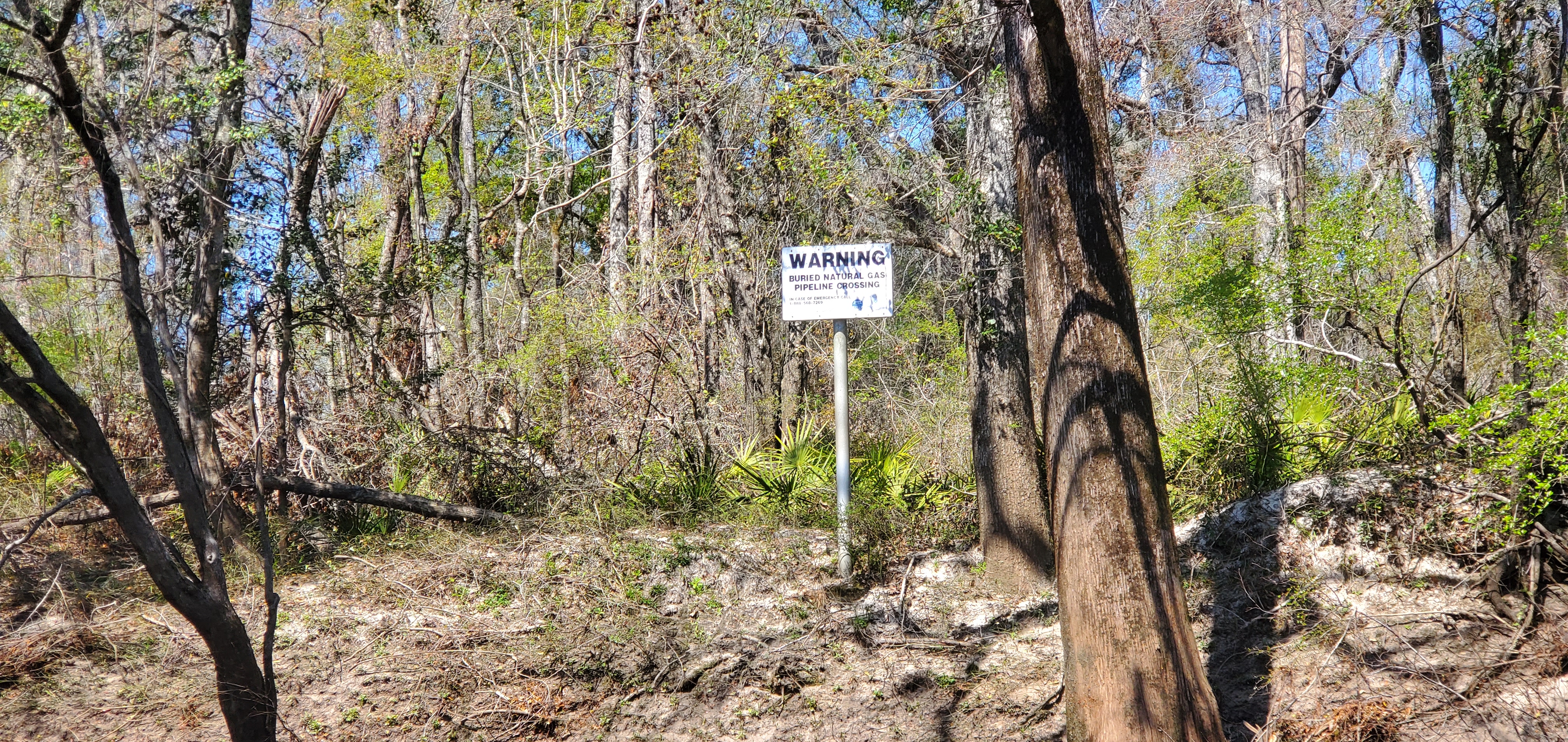 Sabal Trail Pipeline sign, right bank, 2025:03:22 12:31:44, 30.7958939, -83.4519642