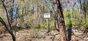 [Sabal Trail Pipeline sign, right bank, 2025:03:22 12:31:44, 30.7958939, -83.4519642]