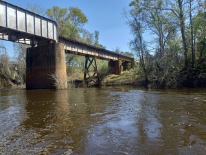 [CSX Railroad Bridge, left (east) bank --Phil Royce, 2025:03:22 12:33:52]