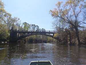 [In the shadow of Spook Bridge --Phil Royce, 2025:03:22 12:35:47]