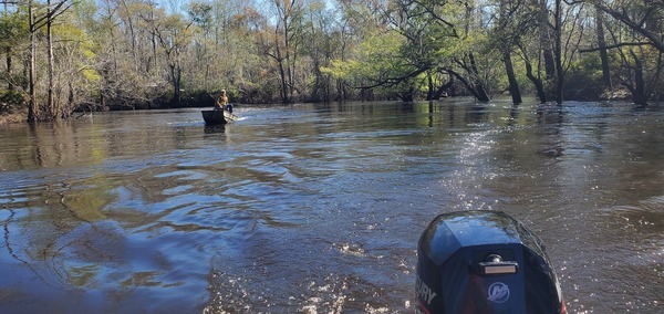 [Little River Confluence, 2025:03:22 10:46:52, 30.8468886, -83.3480637]