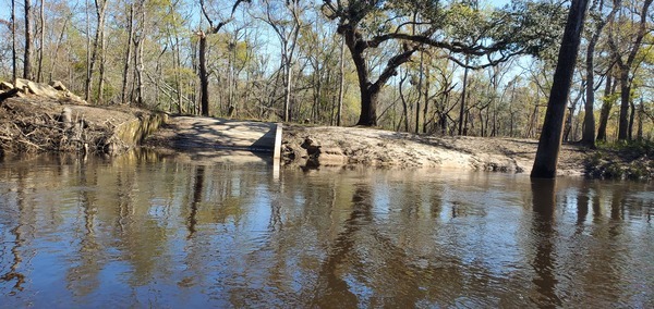 [Paul DeLoach Private Boat Ramp, 2025:03:22 11:07:22, 30.8378145, -83.3700725]