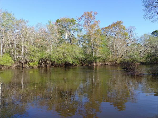 [Across the Little River --Phil Royce, 2025:03:22 10:10:51]