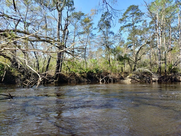 Near the WWTP Outfall --Phil Royce, 2025:03:22 10:59:10