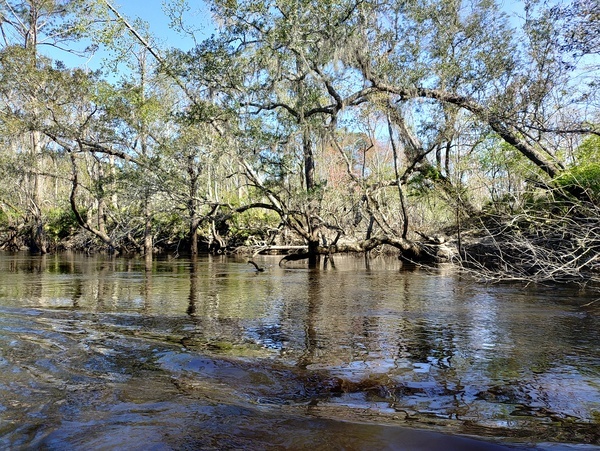 [Another creek? --Phil Royce, 2025:03:22 11:01:38]
