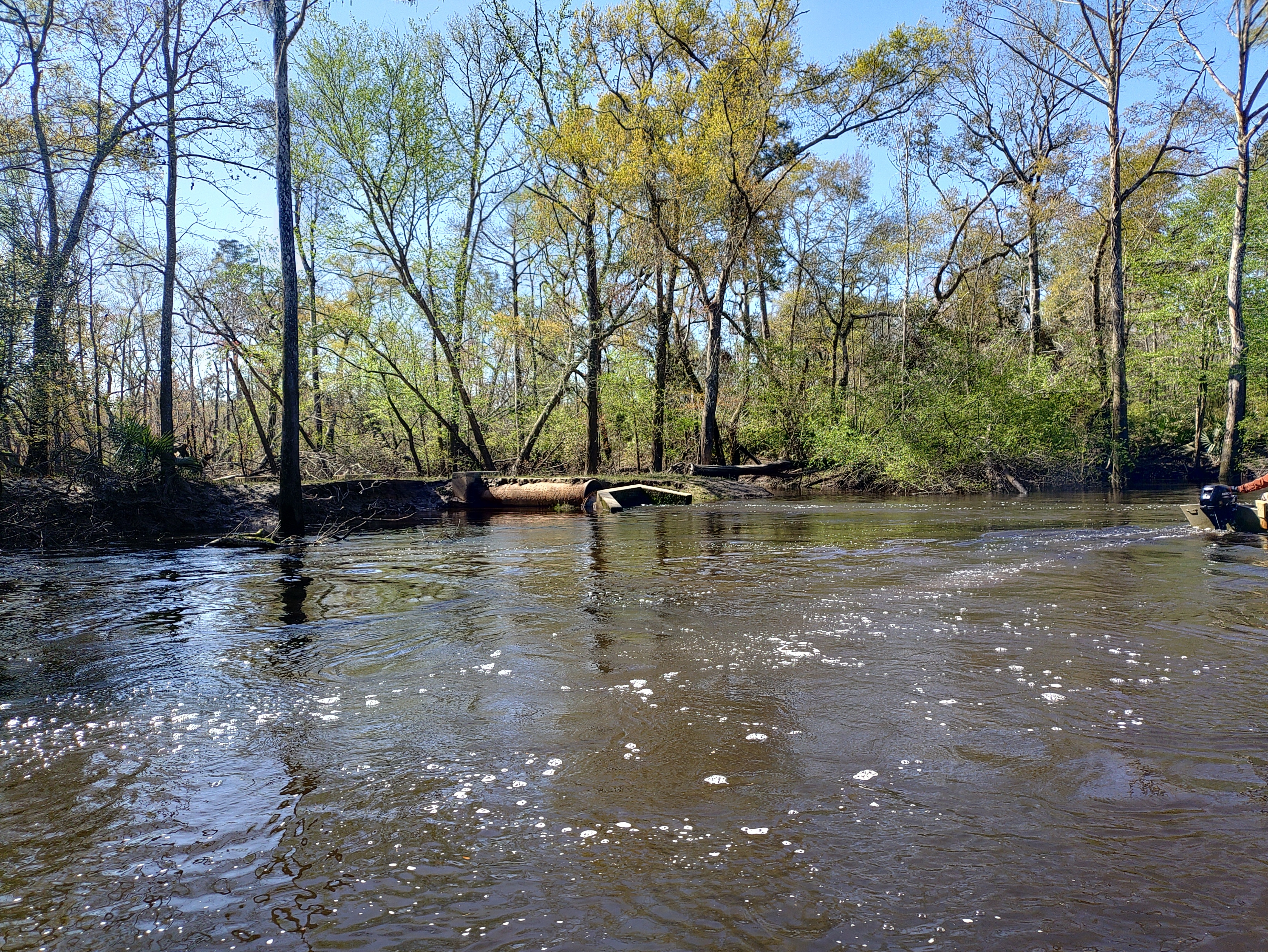 Eroded WWTP Outfall --Phil Royce, 2025:03:22 10:58:00