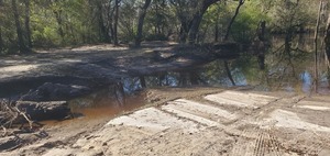 [Erosion by Knights Ferry Boat Ramp, 2025:03:22 10:11:24, 30.7124584, -83.4553195]