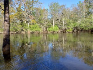 [Fast current, Little River --Phil Royce, 2025:03:22 10:10:55]