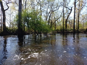 [Loch-Winn Branch --Phil Royce, 2025:03:22 10:51:36]