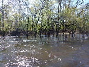 [Loch-Winn Branch --Phil Royce, 2025:03:22 10:53:33]