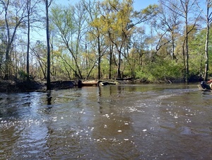 [Eroded WWTP Outfall --Phil Royce, 2025:03:22 10:58:00]