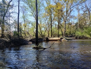 [No sign of the sign at WWTP Outfall --Phil Royce, 2025:03:22 10:58:41]