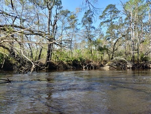[Near the WWTP Outfall --Phil Royce, 2025:03:22 10:59:10]