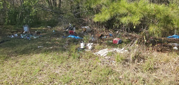 [Trash halfway to Spook Bridge, 2025:03:20 16:49:43, 30.7903038, -83.4477169]