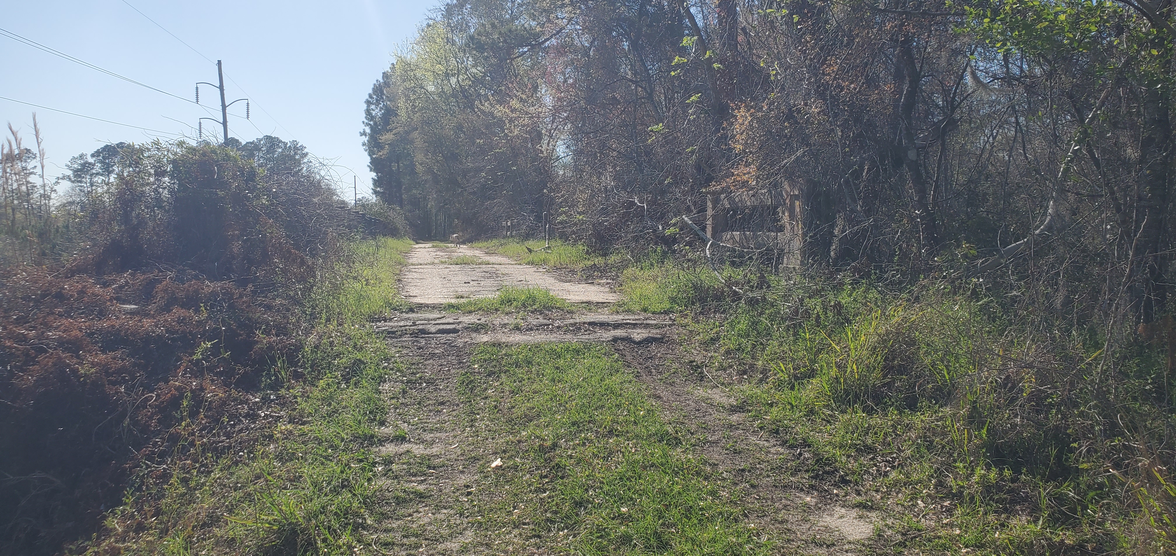 Do not drive over this inland bridge, 2025:03:20 16:50:25, 30.7902184, -83.4484553