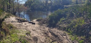 [Pretty easy up from the river, 2025:03:20 16:55:50, 30.7894772, -83.4512543]