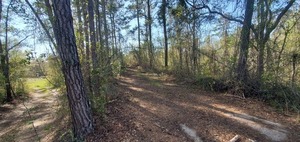 [Road to Spook Bridge, 2025:03:20 16:57:42, 30.7897449, -83.4510251]