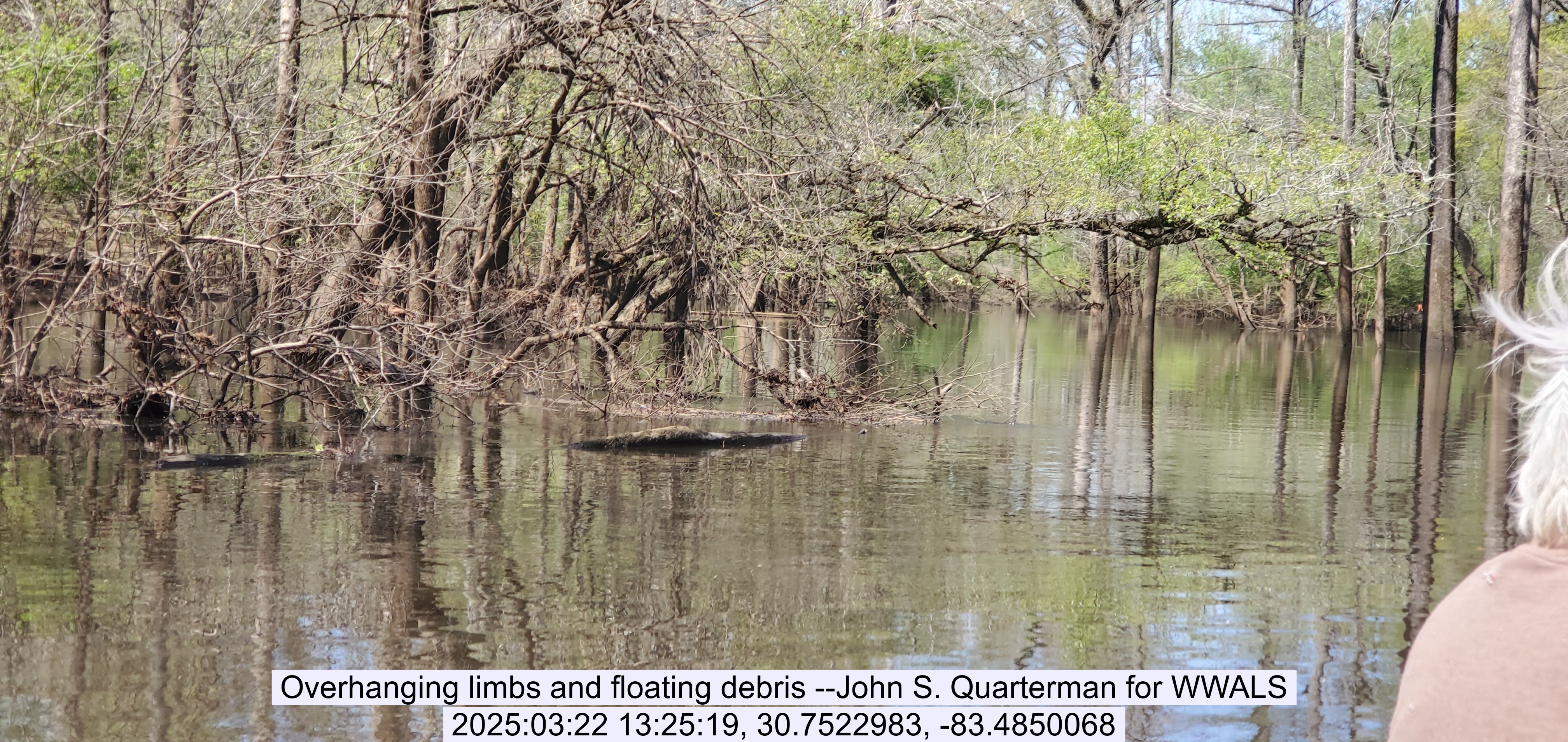 Overhanging limbs and floating debris --John S. Quarterman for WWALS, 2025:03:22 13:25:19, 30.7522983, -83.4850068
