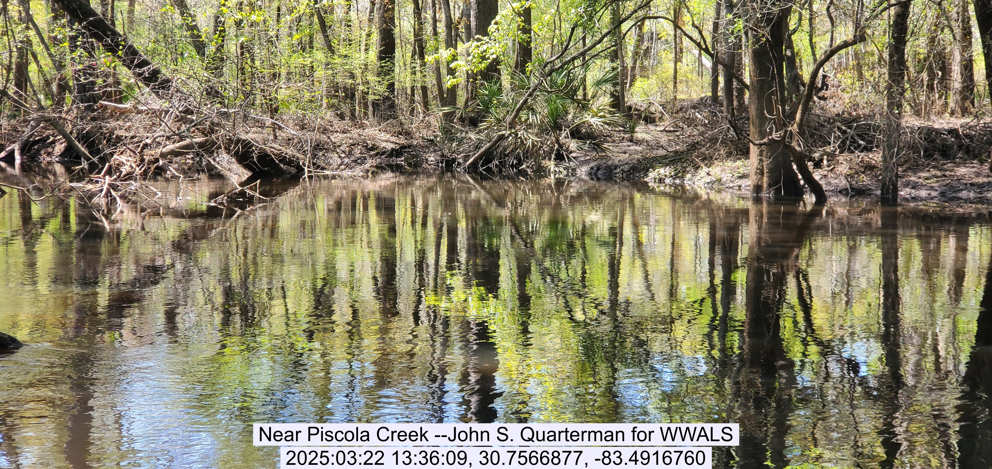 Near Piscola Creek --John S. Quarterman for WWALS, 2025:03:22 13:36:09, 30.7566877, -83.4916760
