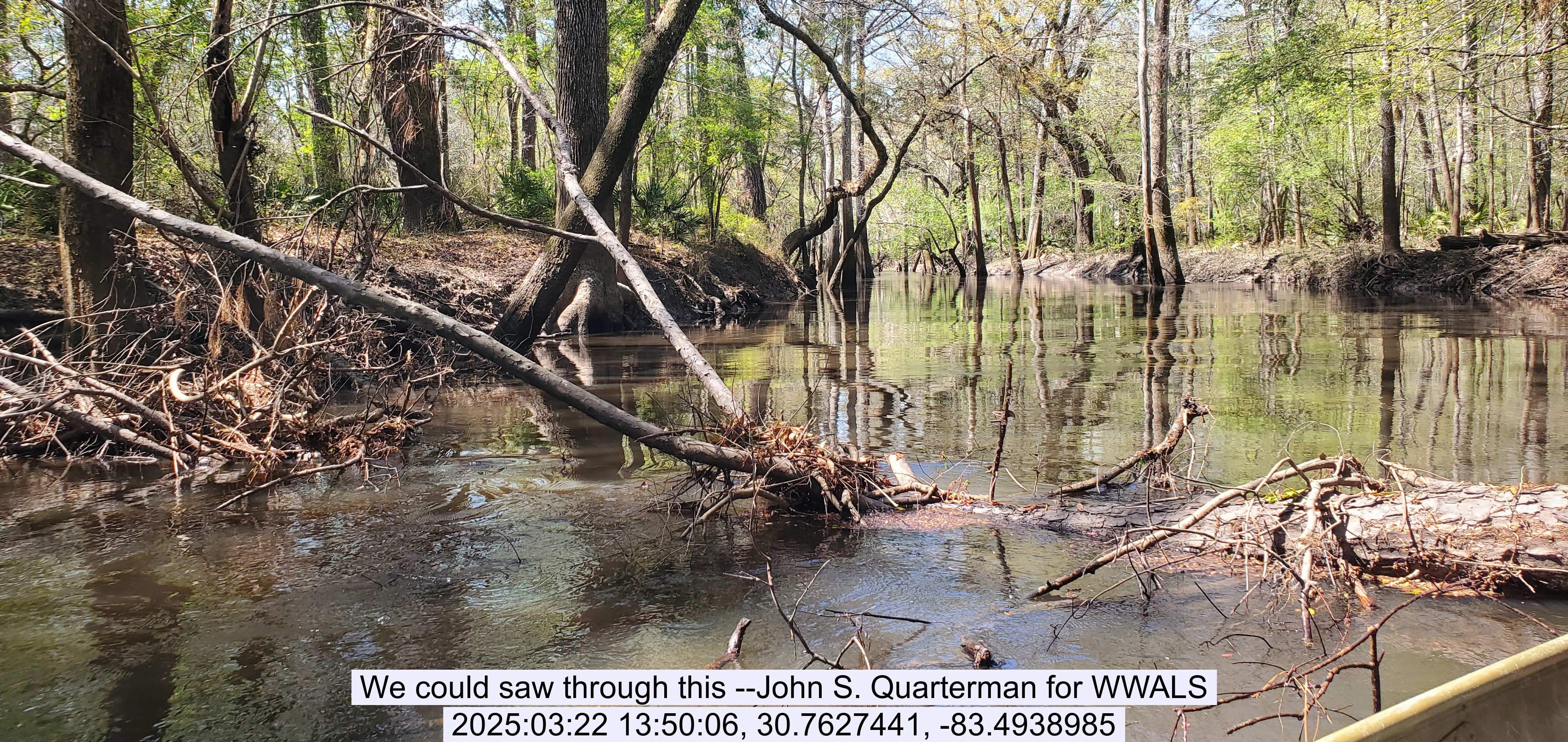 We could saw through this --John S. Quarterman for WWALS, 2025:03:22 13:50:06, 30.7627441, -83.4938985